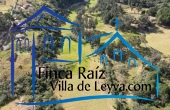 Lotes de 9.600 m2, 10.380 m2 y 17.127 m2 Vereda Sabana, sector río Cané, Villa de Leyva