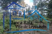 zona verde