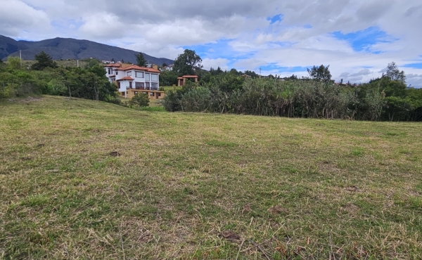 lote - zona verde