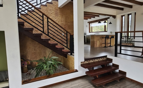 terraza interior , sala