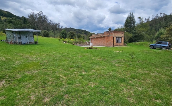 zona verde cercana al inmueble , vista depósito