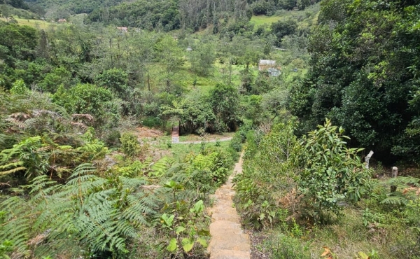 vista desde el sendero