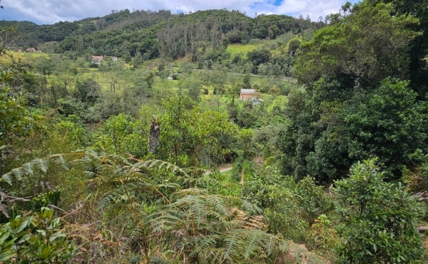 vista desde la parte alta