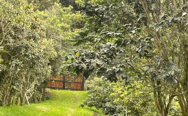 portada sobre la vía principal y pavimentada