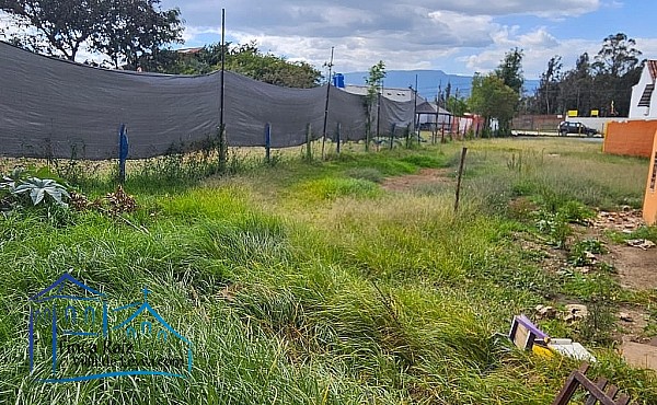 vista general desde el fondo