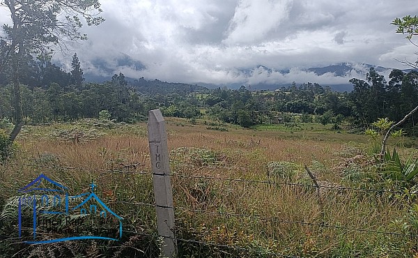 vista general