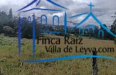 vista