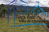 lote