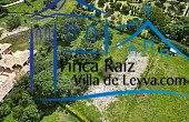 vista general del lote
