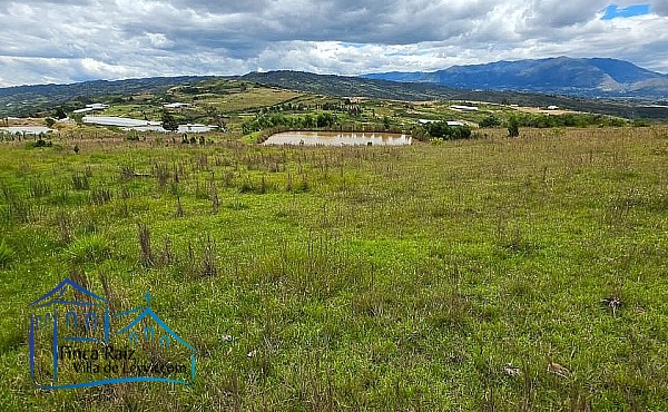 vista de costado