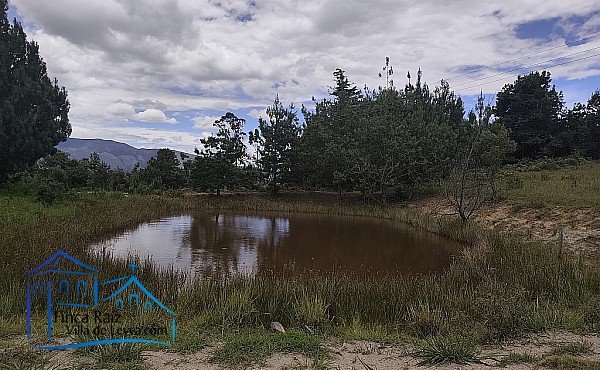 reservorio