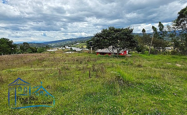 terreno semiplano