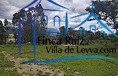 vegetación nativa